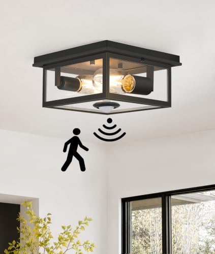 Motion Sensor Outdoor Ceiling Light with Remote