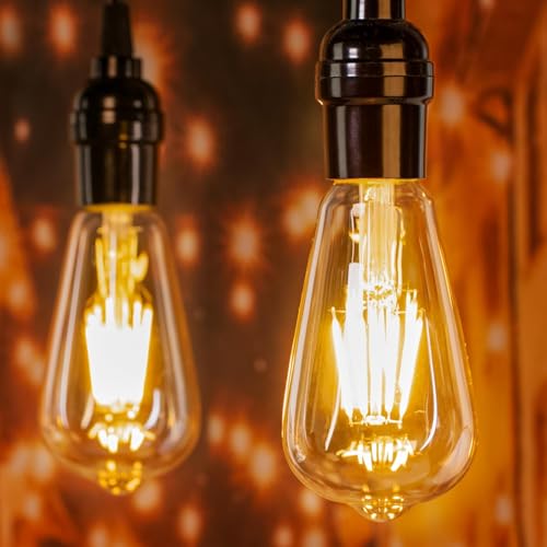 12Pack Edison Light Bulbs (12 Count)