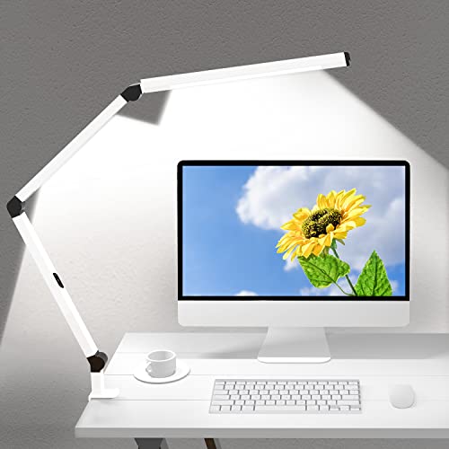 LED Desk Lamp with Clamp