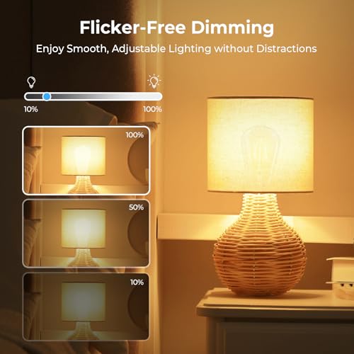 Dimmable Edison Bulbs 2700K Warm White (18 Count)