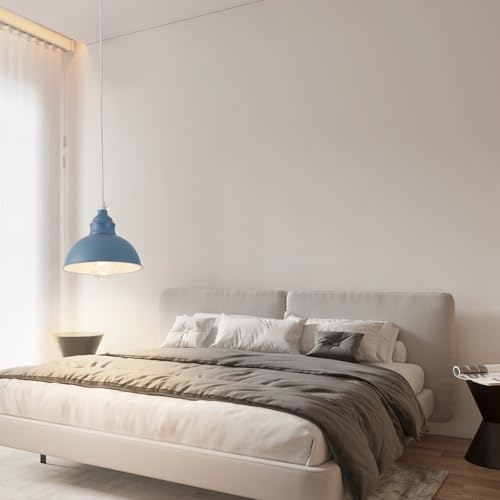 Plug in Pendant Light