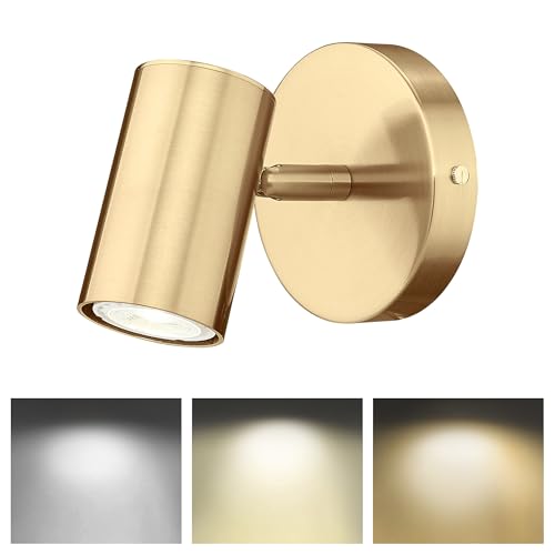 1 Light Wall Sconce