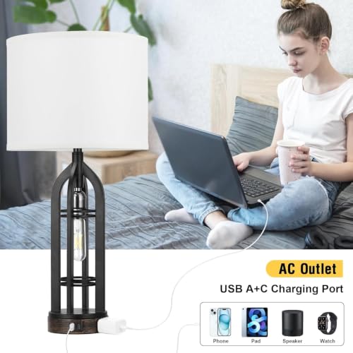 Table Lamps for Living Room (2 Count)