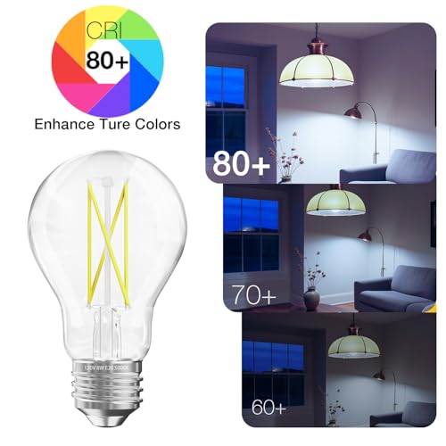 6 Pack A19 Vintage LED Edison Bulbs (6 Count)