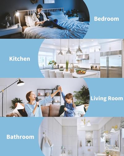 LED Light Bulbs (3 Count)