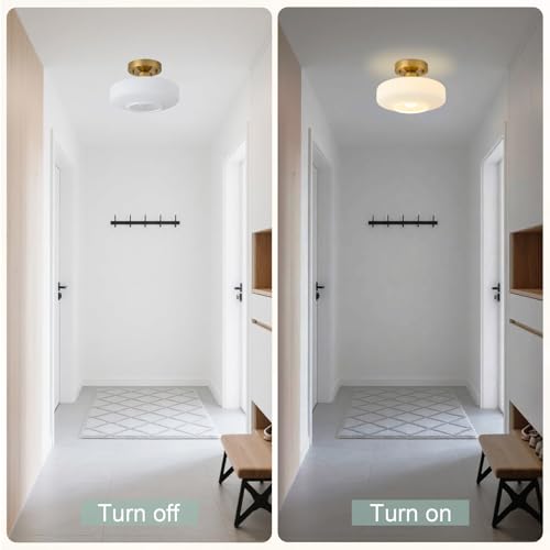 Modern Ceiling Light