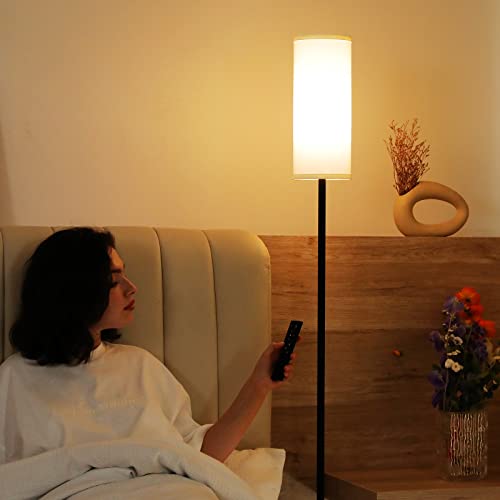 64" Modern Floor Lamp with Remote Control