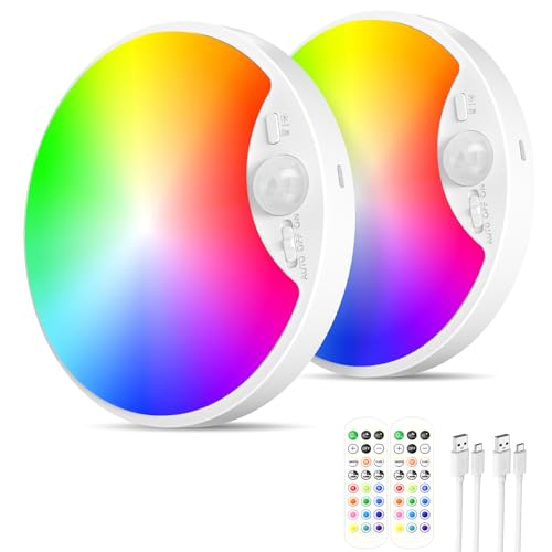 Rechargeable Motion Sensor Ceiling Light (2 Count)