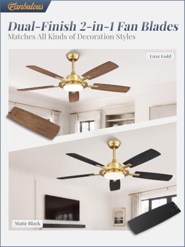 52 Inch Black Ceiling Fans with 3CCT Lights and Remote (Gold / 52")