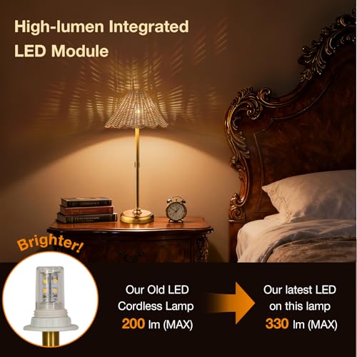 20.5'' Tall Cordless Boho Rattan Table lamp