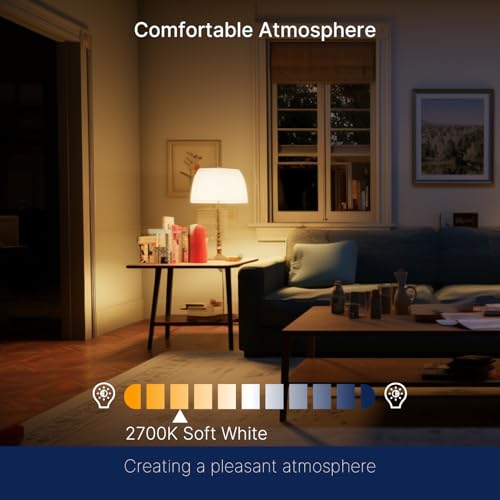 100W Equivalent LED Edison Bulbs (12 Count)