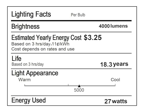 LED Light Bulbs PAR38 Full Glass (4 Count)