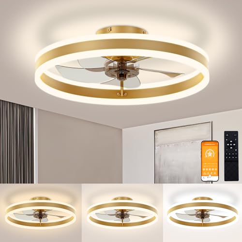 Low Profile Ceiling Fans with Lights and Remote