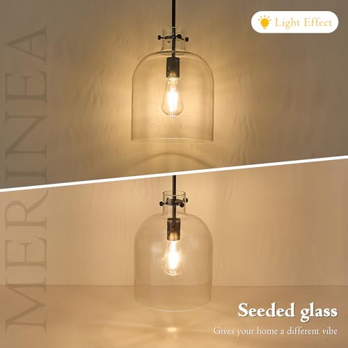 Black Seeded Glass Pendant Light