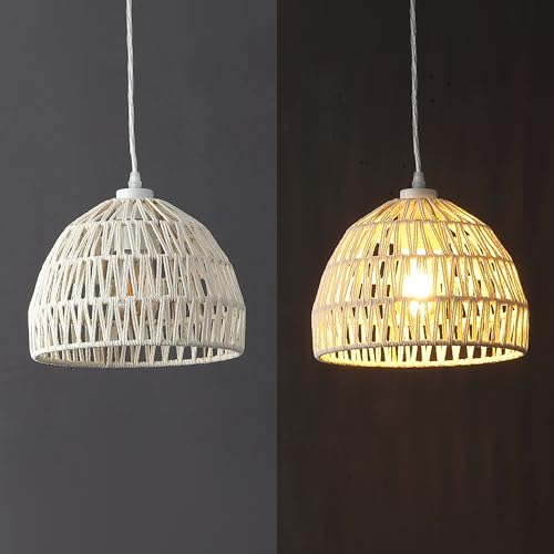 Campana 1 Light Pendant Dome Ceiling Lamp