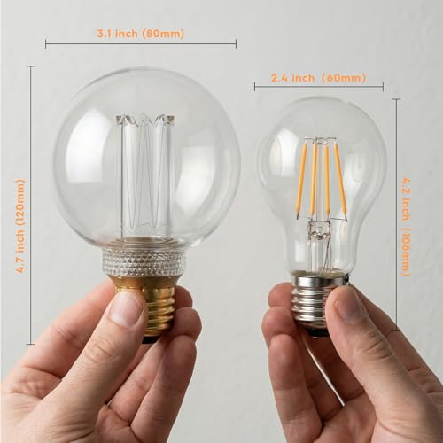 Dimmable Edison Bulb E26 Vintage Round LED Light LowLumen Clear G80