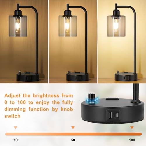 Industrial Desk Lamps for Office Set of 2 (2 Count)