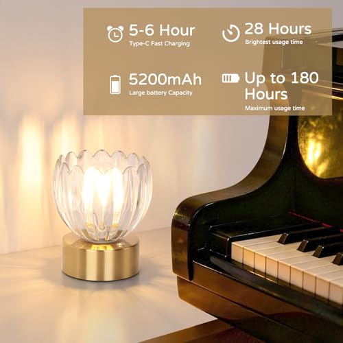 Cordless Small Table Lamp with 5200mAh Battery & Touch Control