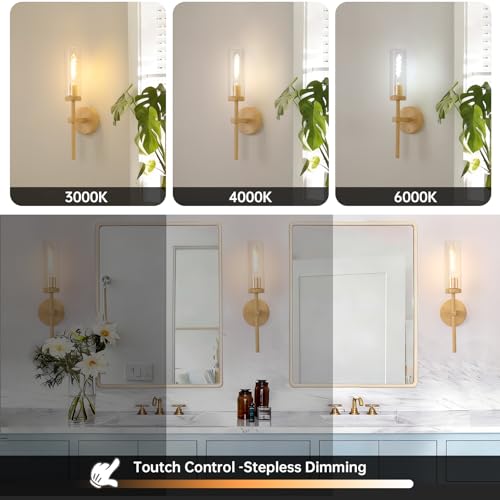 Battery Operated Wall Sconces Set of 2 (2 Count)