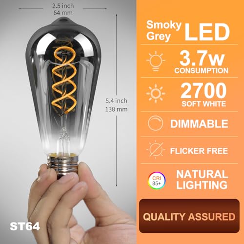 E26 ST64 Vintage Edison Light Bulbs (4 Count)