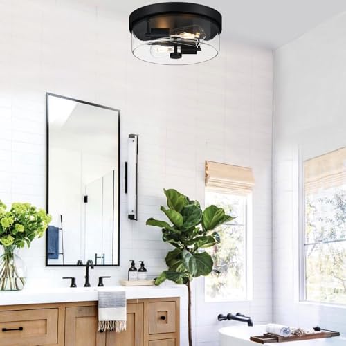 Flush Mount Ceiling Light Fixtures