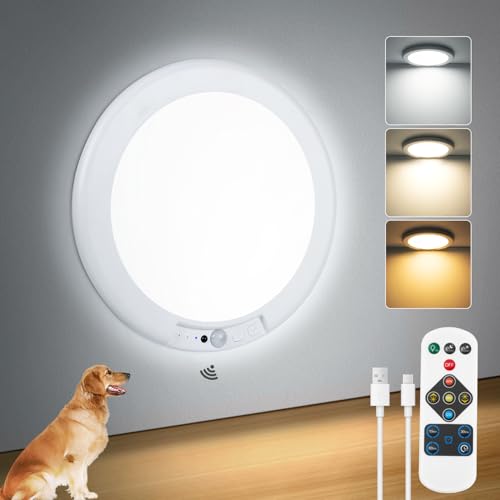 Waterproof Shower Light Battery Operated Ceiling Light with Remote