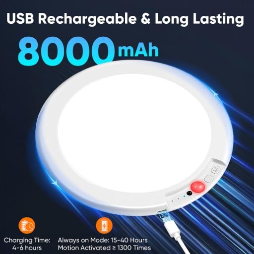 Rechargeable Motion Sensor Ceiling Light