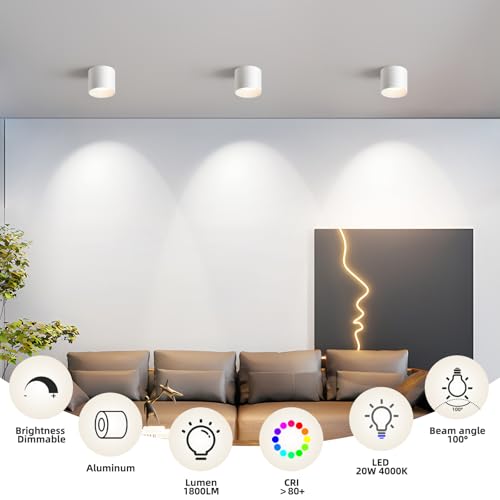 White Hallway Flush Mount Ceiling Light Fixtures for Kitchen Entryway