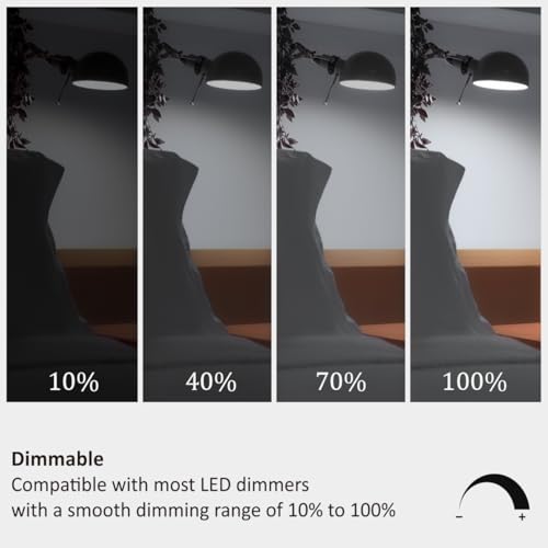25 Watt Light Bulbs Daylight 5000K (6 Count)