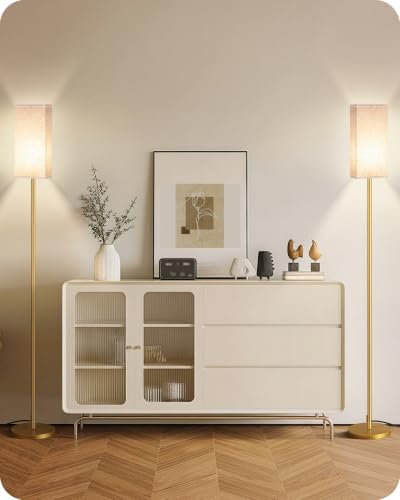 2Pack Floor Lamp (2 Count)