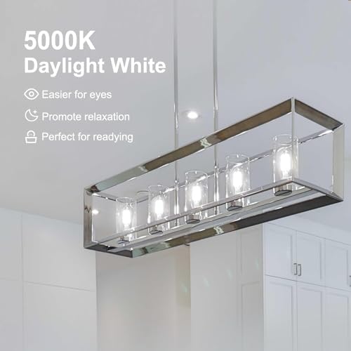 LED Edison Light Bulbs (20 Count)