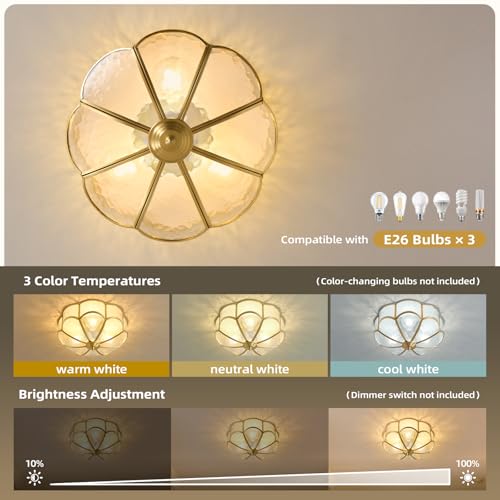 Gold Brass Vintage Ceiling Light