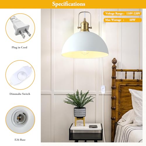 Plug in Pendant Light