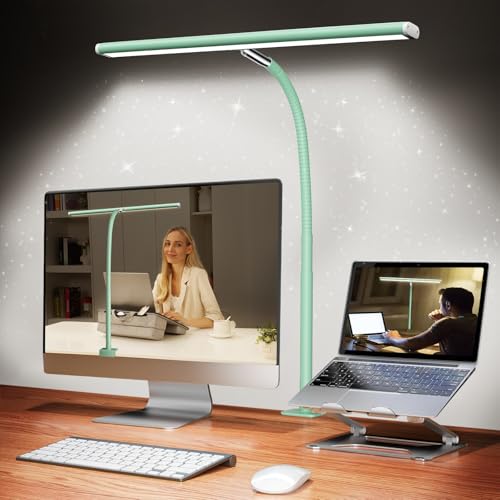 LED Desk Lamp with Clamp