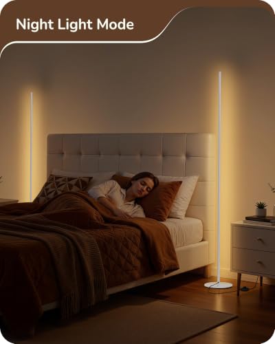 2 Pack 57.5” Floor Lamps with Remote (2 Count)