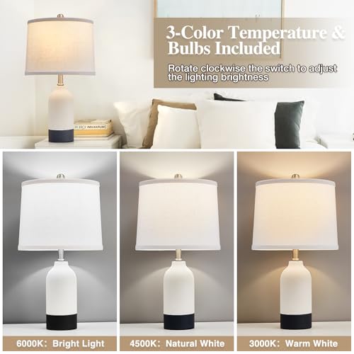 Ceramic Table Lamp Set of 2 (2 Count)
