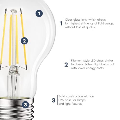 Vintage A19 LED Light Bulbs 60W Equivalent (4 Count)