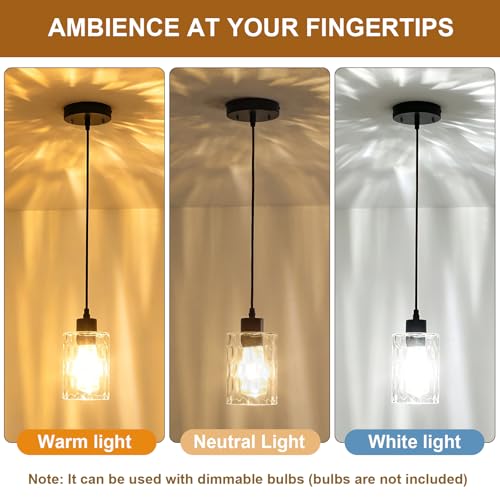 2 Pack Black Pendant Lights Kitchen Island (2 Count)