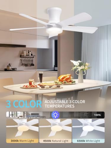 42 Inch White Low Profile Ceiling Fan with Light and Remote (White / 42 Inch)