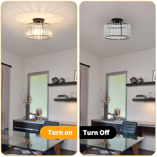 Crystal Ceiling Light Fixture