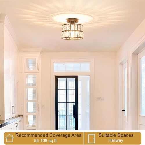 Crystal Ceiling Light Fixture