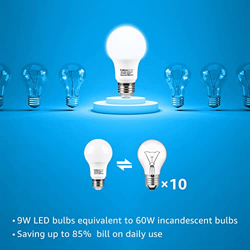 6 Pack A19 LED Light Bulb 60W Equivalent (6 Count)