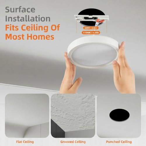 Flush Mount Ceiling Light