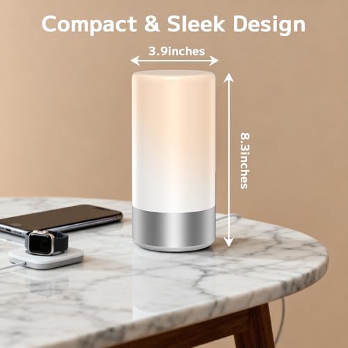 Table Lamp Bedside Touch Control Lamp for Bedroom 3 Level Dimmable Warm White Lights with 256 RGB Color Mode Modern Deisgn Smart Nightstand Desktop LED Lamps Portable for Read