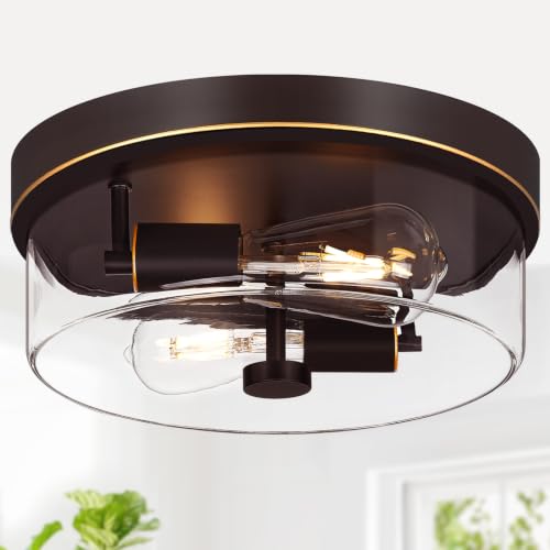 Flush Mount Ceiling Light Fixtures
