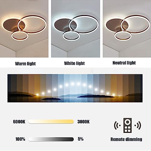 Chaners Ceiling Light LED Ceiling Light Ring Design Lighting Dimmable with Remote Control Lights for Living Room Bedroom Hallway
