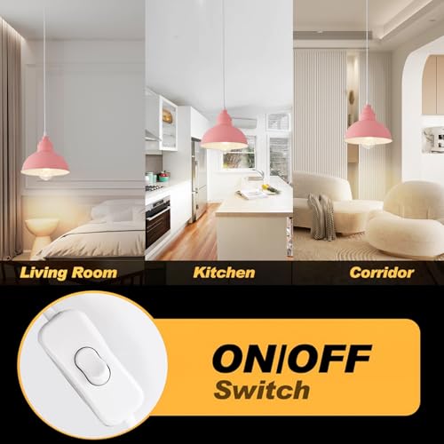 Plug in Pendant Light