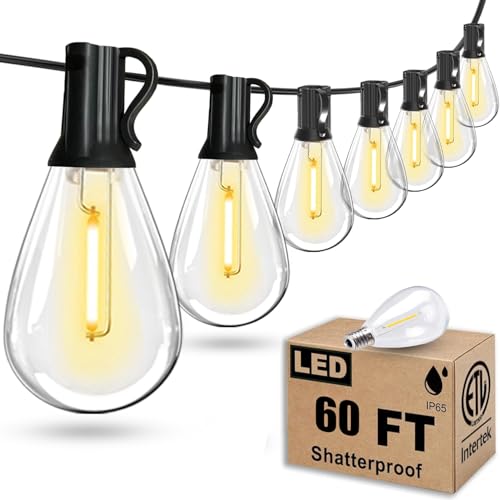 60FT Outdoor String Lights