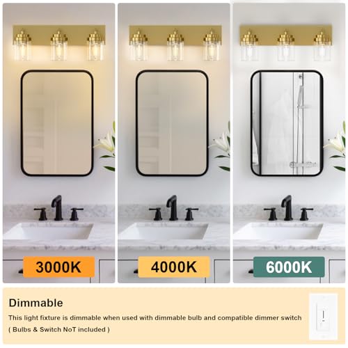 Bathroom Vanity Light Fixture