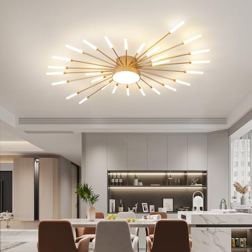 Modern Ceiling Light